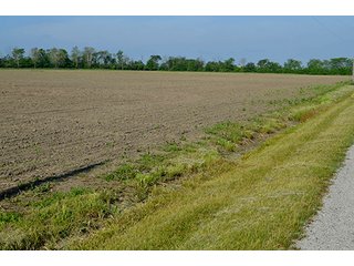 Property photo 3 - LAND AUCTION - 215+/- ACRES OFFERED IN 6 TRACTS IN VAN WERT COUNTY, OHIO